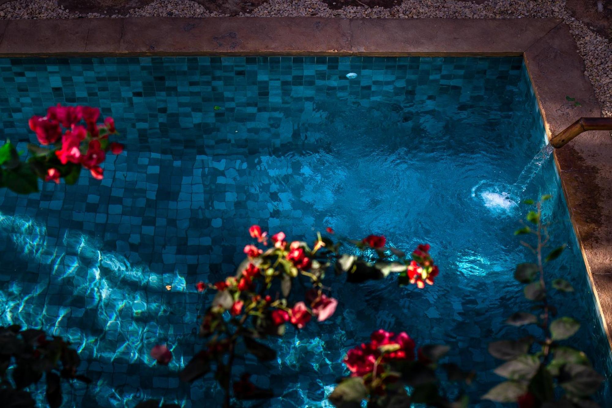 Casalo Hotel ジジョーカ・デ・ジェリコアコアラ エクステリア 写真